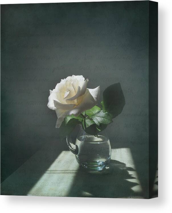 Rose Canvas Print featuring the photograph White Rose Still Life by Deborah Smith