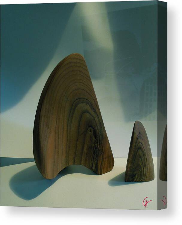 Colette Canvas Print featuring the photograph Wood Zen Harmony by Colette V Hera Guggenheim
