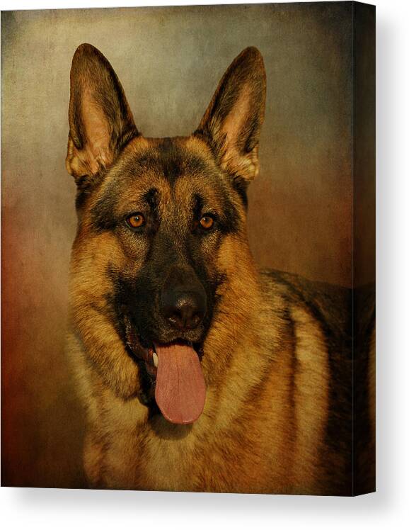 Dog Canvas Print featuring the photograph Chance #1 by Sandy Keeton