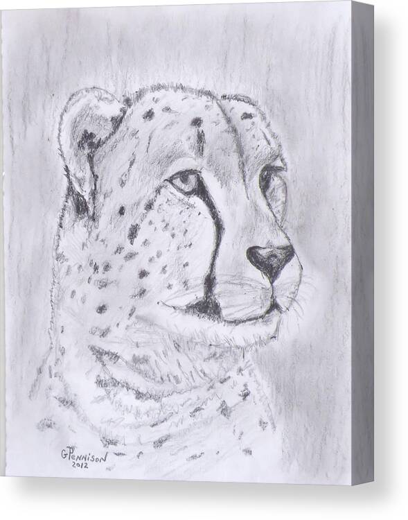 Drawing Canvas Print featuring the drawing Cheeta Watching by Gilbert Pennison