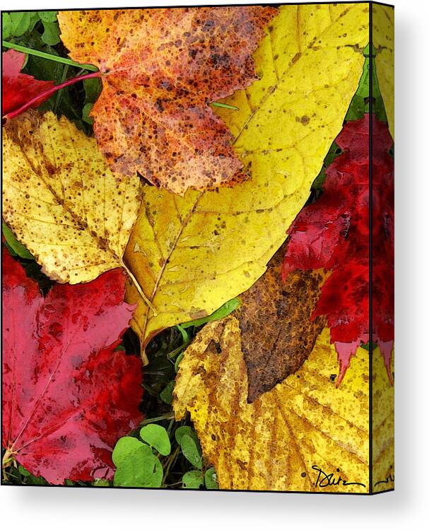 Autumn Leaves Canvas Print featuring the photograph Autumn by Peggy Dietz
