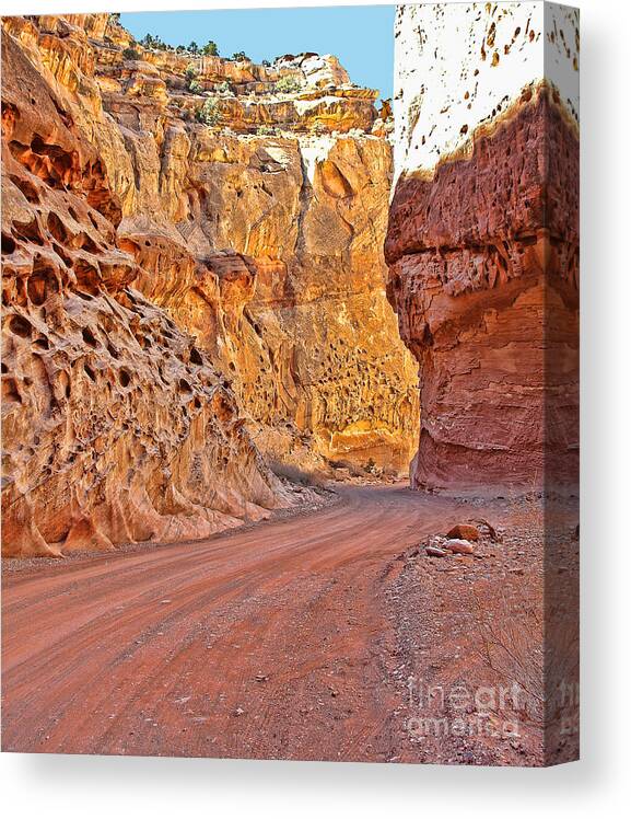 Capitol Gorge Canvas Print featuring the photograph Capitol Gorge Trail at Capitol Reef by Jack Schultz