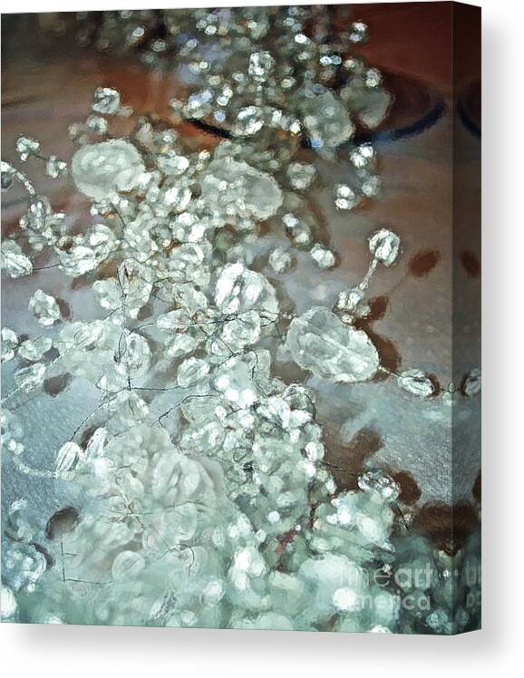 Glass Canvas Print featuring the photograph Elegance by Gwyn Newcombe