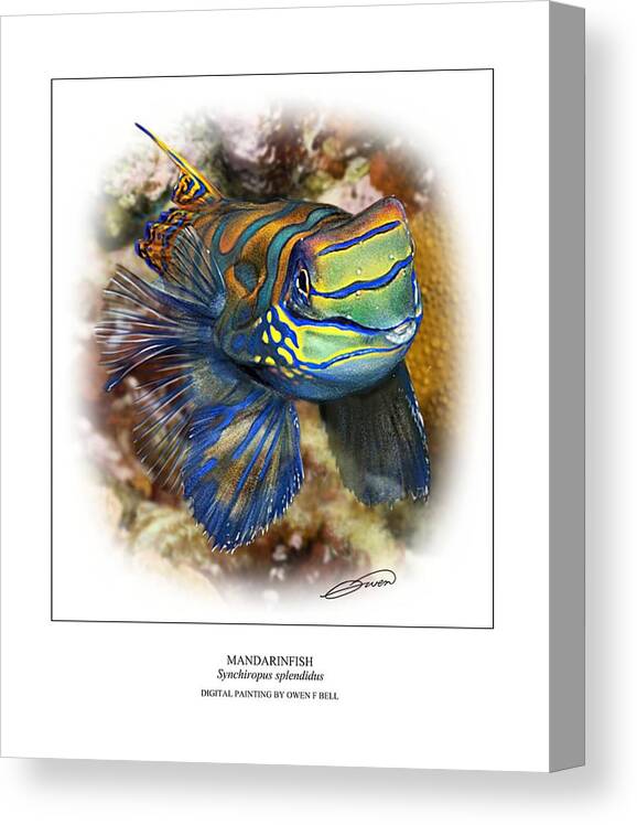 Mandarinfish Canvas Print featuring the digital art Mandarinfish 1 by Owen Bell