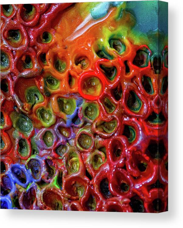 Encaustic Canvas Print featuring the photograph Mystic by Jason Wolters