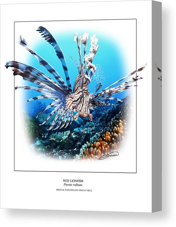 Red Lionfish Canvas Print featuring the digital art Red Lionfish by Owen Bell