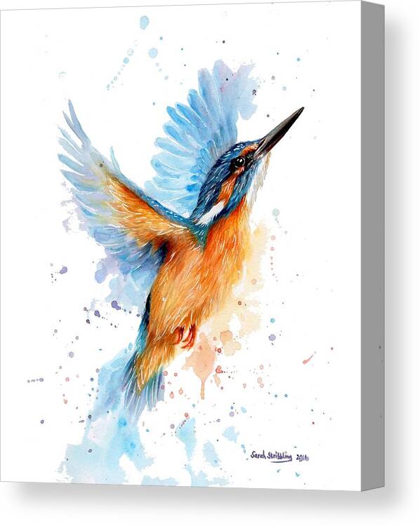Watercolour Canvas Print featuring the painting Kingfisher #3 by Sarah Stribbling