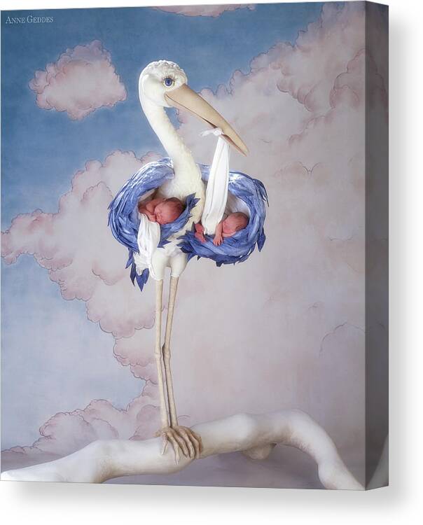 Baby Canvas Print featuring the photograph Mother Stork by Anne Geddes