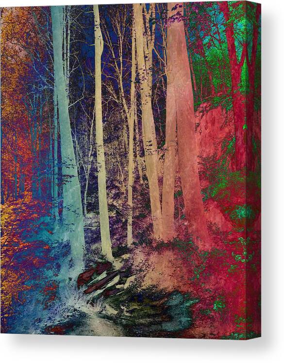 Path Canvas Print featuring the photograph Path #1 by Marianna Mills