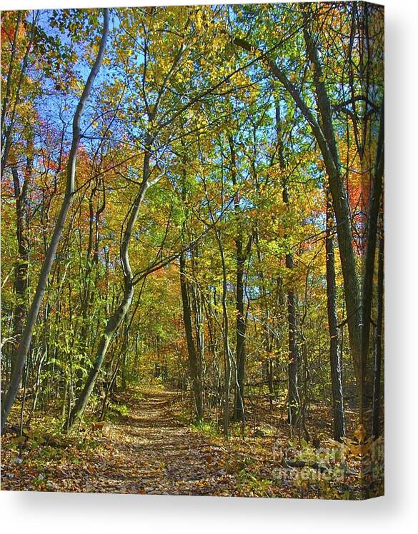 Fall Canvas Print featuring the photograph A Walk in the Woods by Tracy Rice Frame Of Mind