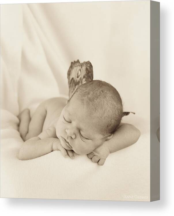 Sepia Canvas Print featuring the photograph Aimee as a Fairy by Anne Geddes