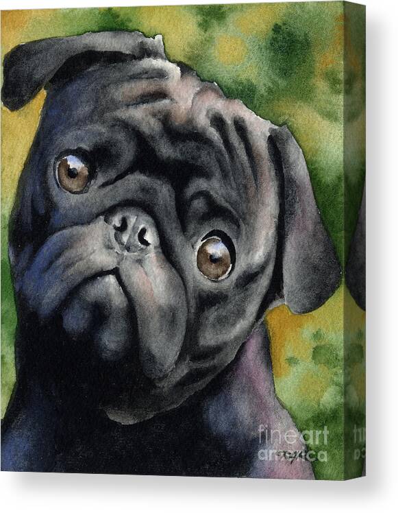 Black Canvas Print featuring the painting Black Pug by David Rogers