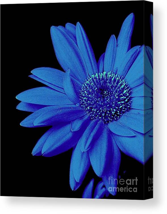 Blue Canvas Print featuring the photograph Blue by Elfriede Fulda