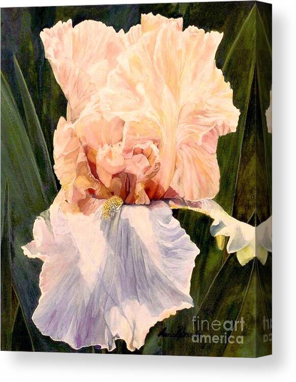  Botanical Canvas Print featuring the painting Botanical Peach Iris by Laurie Rohner