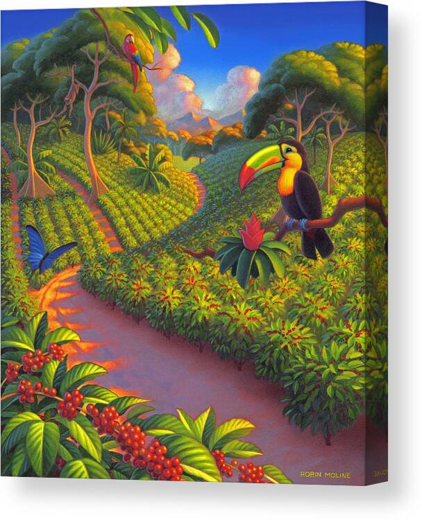 Coffee Plantation Canvas Print featuring the painting Coffee Plantation by Robin Moline