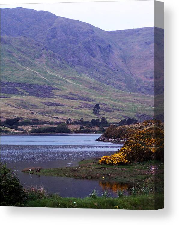 Landscape Canvas Print featuring the photograph Connemara Leenane Ireland by Teresa Mucha