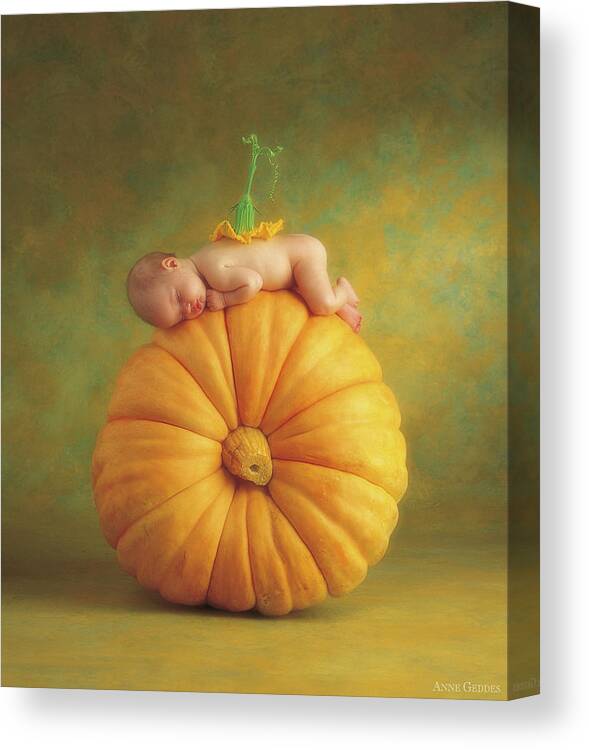 Fall Canvas Print featuring the photograph Country Pumpkin by Anne Geddes