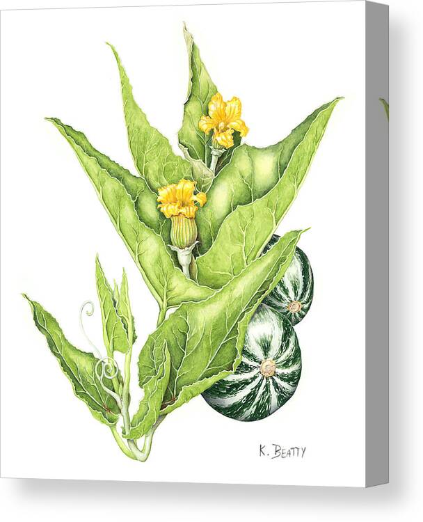 Botanical Canvas Print featuring the painting Cucurbita Foetidissima by Karla Beatty