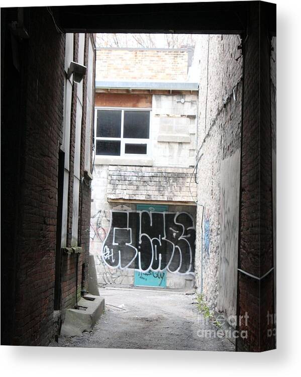 Alley Canvas Print featuring the photograph Down in the Alley by Margaret Hamilton