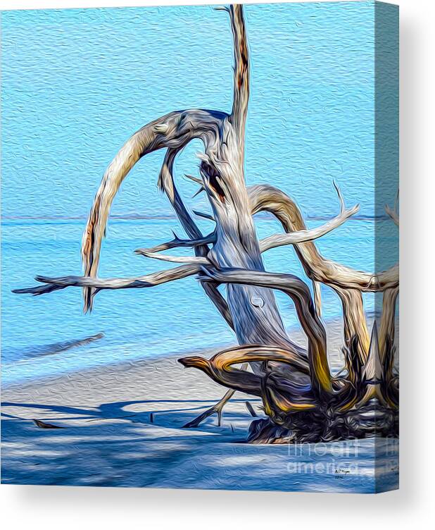 Art Canvas Print featuring the painting Driftwood on Jekyll by DB Hayes