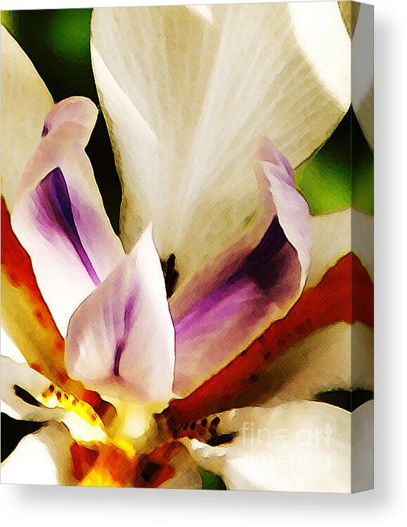 Flower Canvas Print featuring the photograph Gala by Linda Shafer