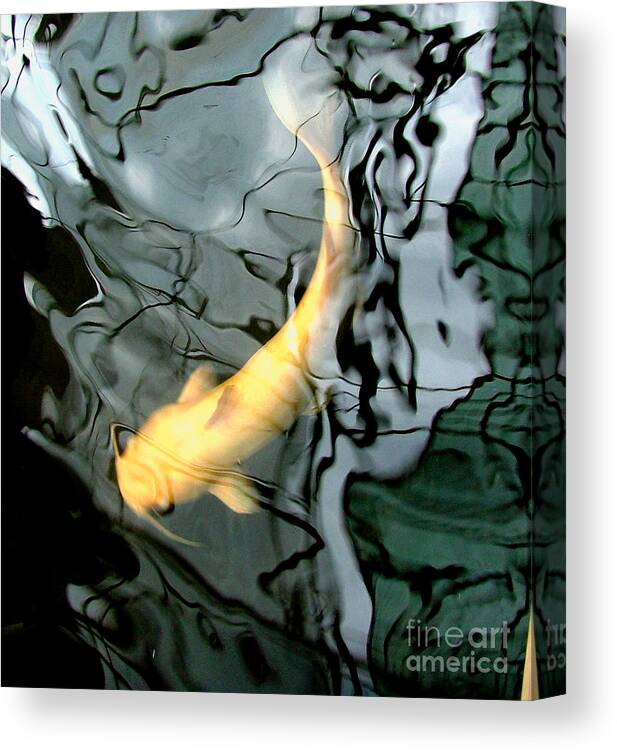 Ghost Canvas Print featuring the photograph Ghost Koi Carp Fish by Heather Lennox