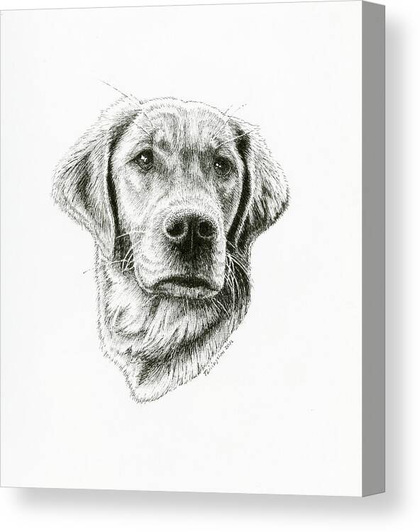 Golden Canvas Print featuring the drawing Golden Retriever Bliss by Timothy Livingston