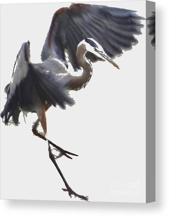 5 Star Canvas Print featuring the photograph Great Blue Heron as Watercolor v2 by Christopher Plummer