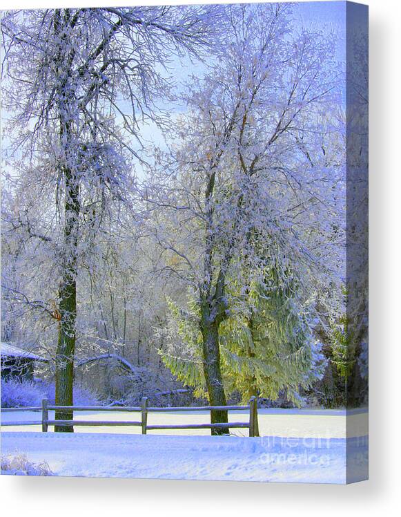 Winter Landscape Canvas Print featuring the photograph Hoping for Green by Julie Lueders 