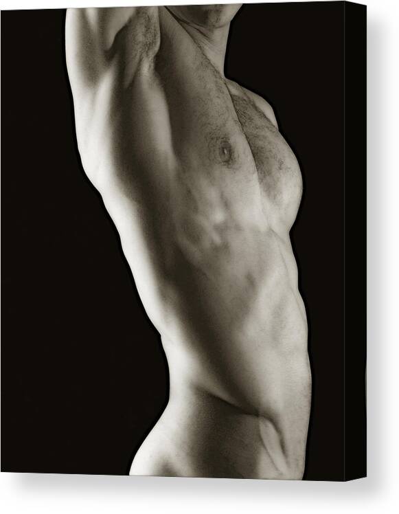 Male Erotic Photographs Canvas Print featuring the photograph Javier Torso 2 by Dave Milstead