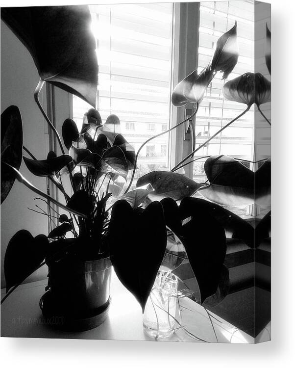 Shadow Canvas Print featuring the photograph Light and Shadow 11 by Mimulux Patricia No