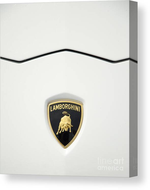 Lamborghini Canvas Print featuring the photograph Luxury in Marbella by Perry Van Munster