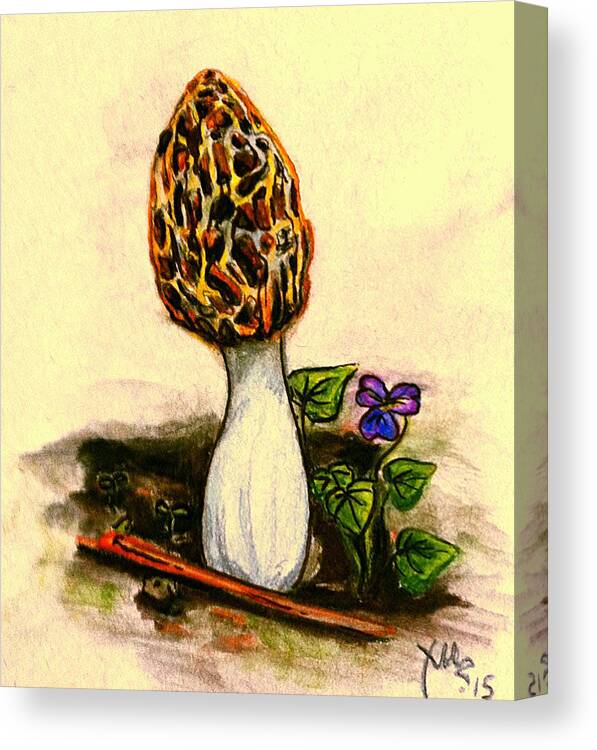Weaselwise Canvas Print featuring the drawing Morel Study by Alexandria Weaselwise Busen