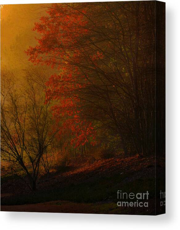 Adrian-deleon Canvas Print featuring the photograph Morning sunrise with fog touching the tree tops in Georgia. by Adrian De Leon Art and Photography