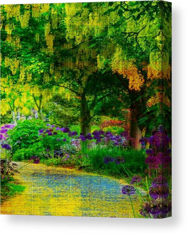 New Zealand Canvas Print featuring the photograph New Zealand Walk by Digital Art Cafe