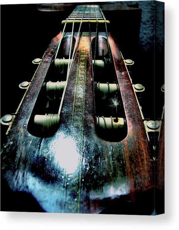 Guitar Canvas Print featuring the photograph Old Companion by Rory Siegel