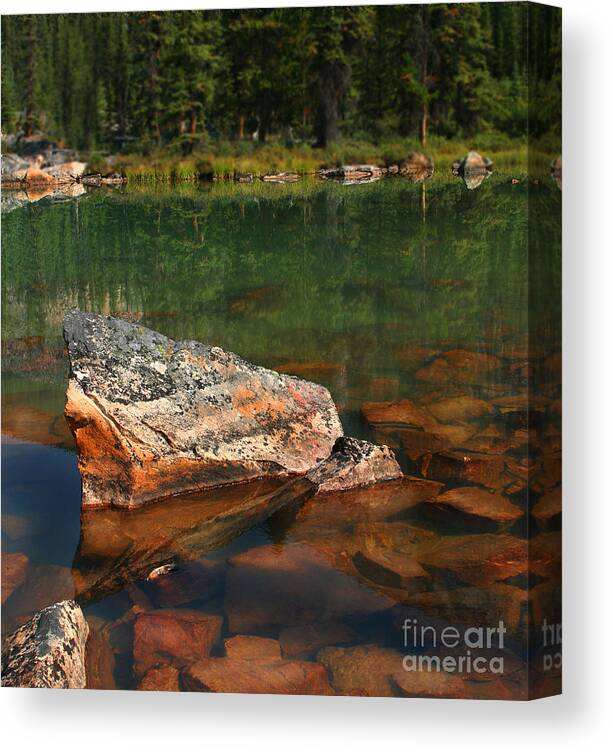 Rocks Canvas Print featuring the photograph Pink Rocks by Lisa Redfern