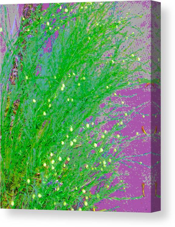 Abstract Canvas Print featuring the photograph Plant Design by Lenore Senior