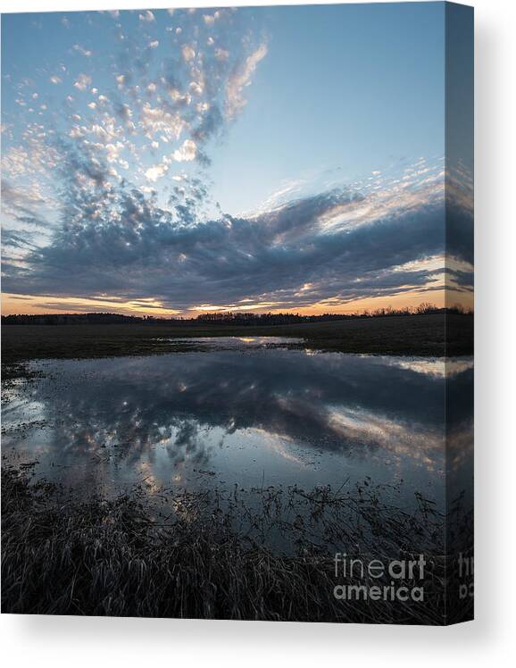 Pond Canvas Print featuring the photograph Pond and Sky Reflection3A by Steve Somerville