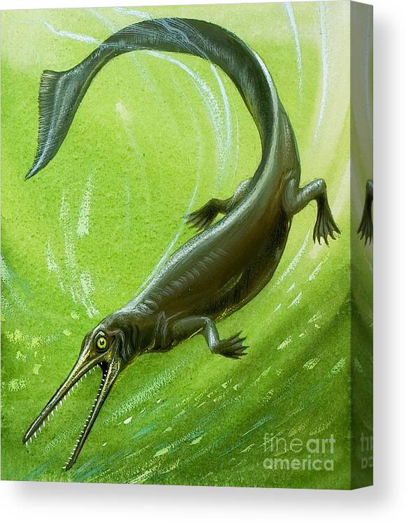 Dinosaur Canvas Print featuring the painting Prehistoric fish by David Nockels