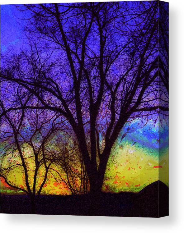 Sunrise Canvas Print featuring the photograph Rainbow Morning by Julie Lueders 