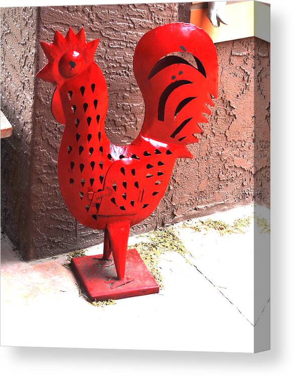 Animal Canvas Print featuring the photograph Red And Black Rooster by Jay Milo