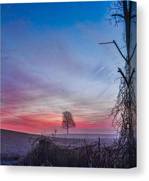 Tree Canvas Print featuring the photograph Red sky in the morning, sailors take warning by Joe Holley