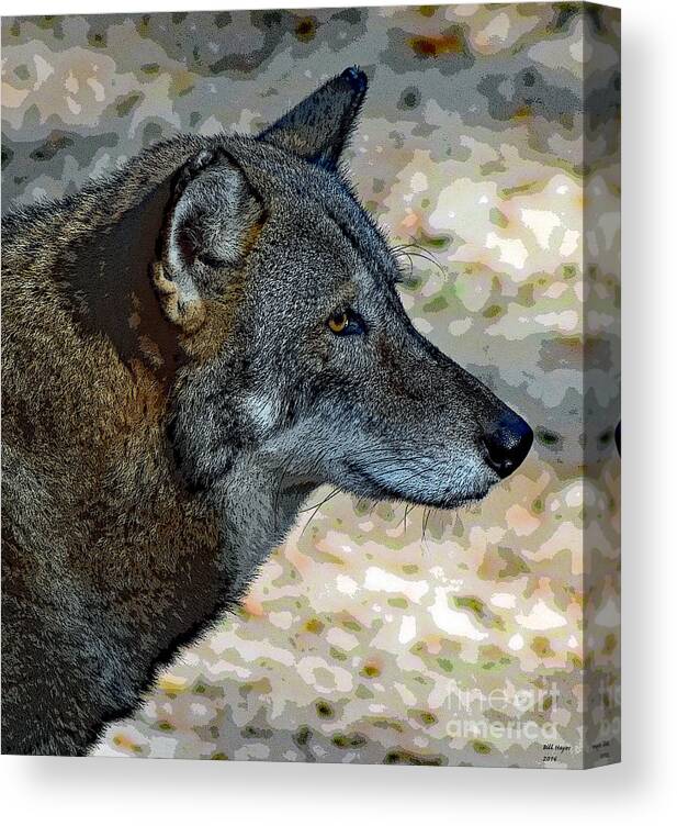Art Canvas Print featuring the photograph Red Wolf by DB Hayes
