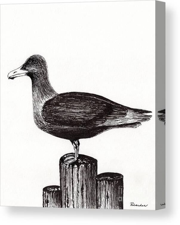 Seagull Canvas Print featuring the drawing Seagull Portrait on Pier Piling E3 by Ricardos Creations