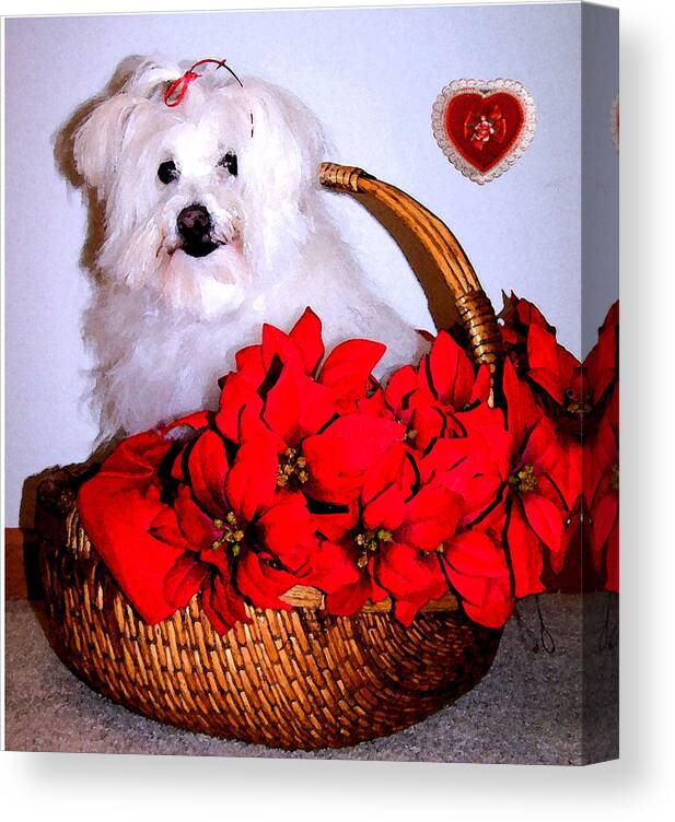 Christmas Canvas Print featuring the photograph Sending Love by Vijay Sharon Govender