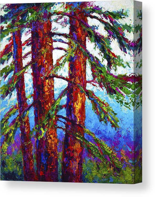 Trees Canvas Print featuring the painting Sequoia by Marion Rose