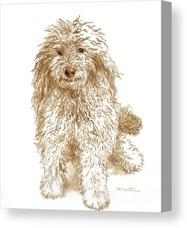 Dog Canvas Print featuring the drawing Sheep Dog by Meridith Martens