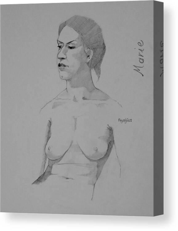 Female Canvas Print featuring the drawing Sketch for Marie seated by Ray Agius