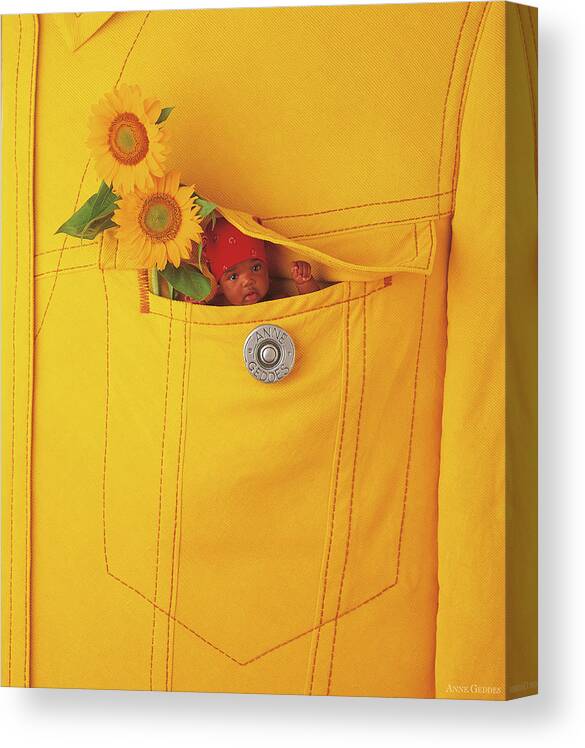 Sunflowers Canvas Print featuring the photograph Small Change by Anne Geddes